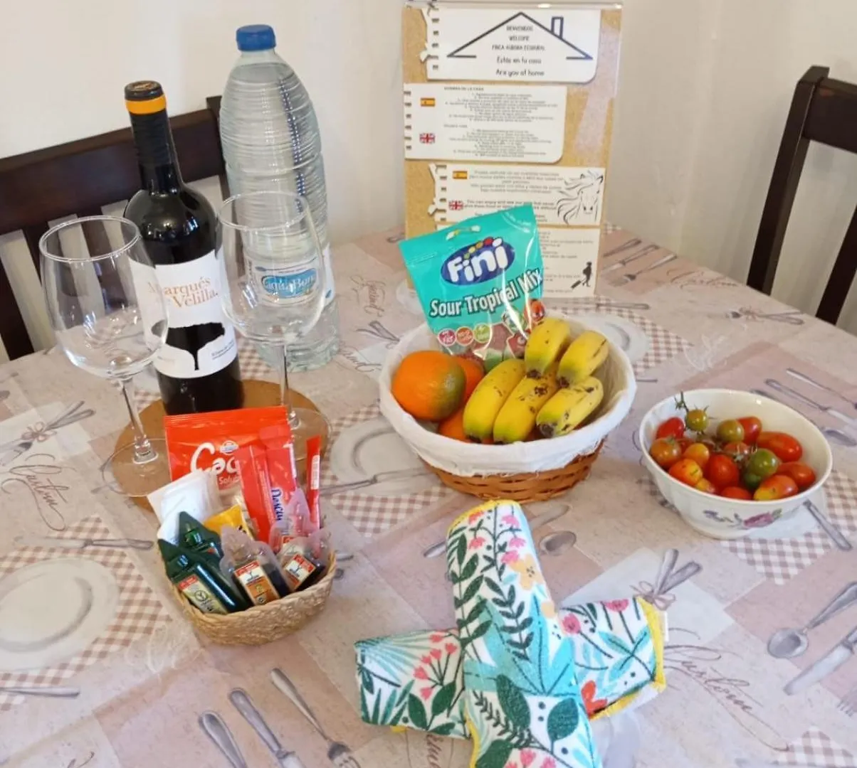 Finca Aurora Ecorural Icod De Los Vinos 0*,  España